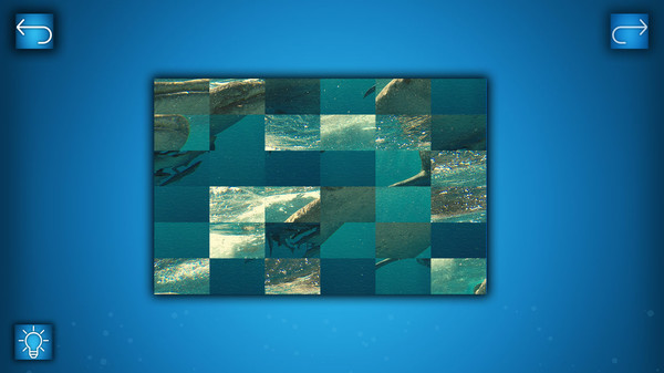 Скриншот из PUZZLE: OCEAN