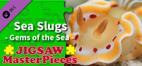 Jigsaw Masterpieces : Sea Slugs - Gems of the Sea - cover art