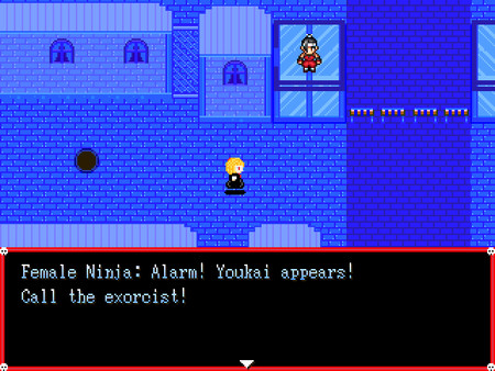 Rumia in the darknessfor windows and Linux 1