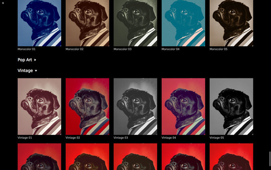 CameraBag Pro game for Linux 1