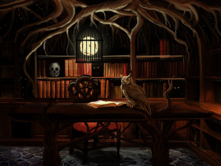 Скриншот из The Nine Lives of Nim: Fortune's Fool