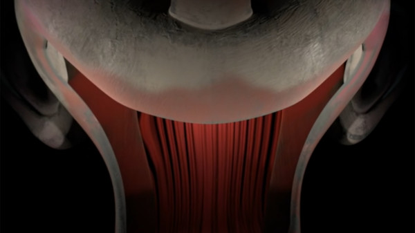 Скриншот из Jinxed Скриншот из Jinxed