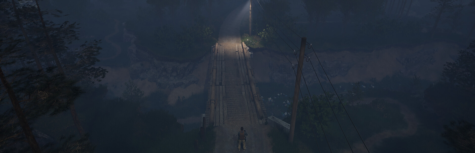 Pathogenesis: Overcome