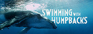 Swimming with Humpbacks