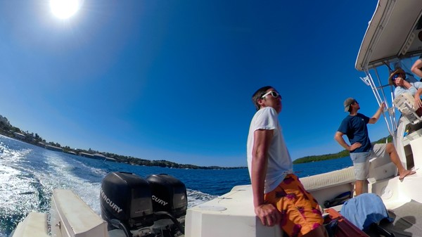 Swimming with Humpbacksfor windows and Linux 1