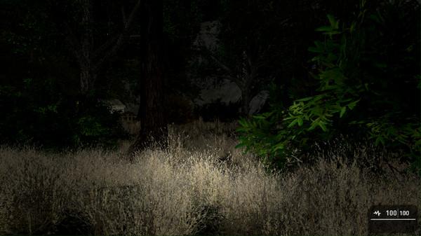 Скриншот из THE RITUAL (Indie Horror Game)