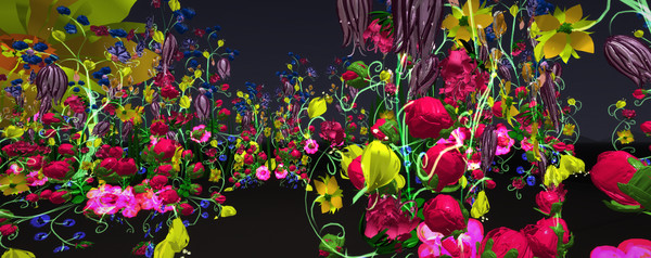 Kakwitene VR for linux