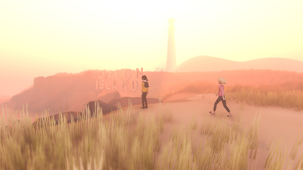 Plasticityfor windows and Linux 1