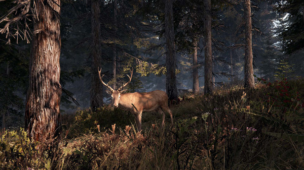 This Land Is My Land game for windows Pc 1