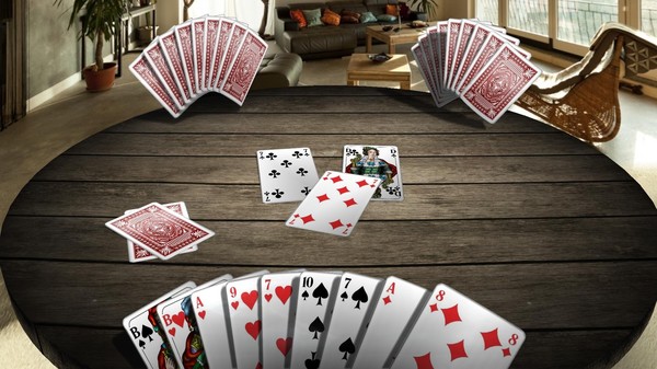 Скриншот из Skat 3D Premium