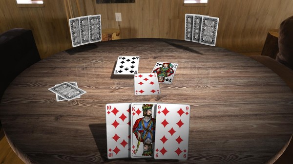 Скриншот из Skat 3D Premium