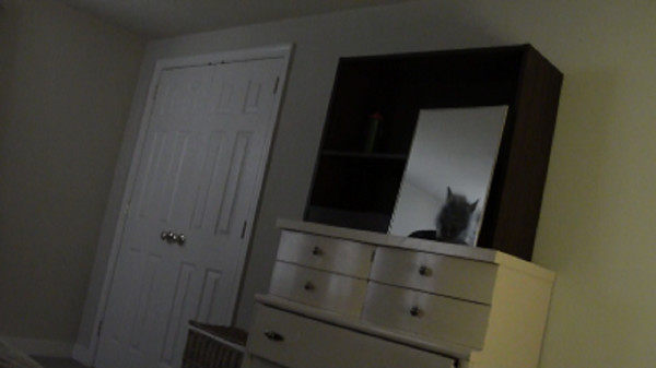 Real Scary for linux