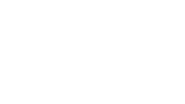 Falcon Age Logo