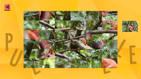 Скриншот из Game Of Puzzles: Animals