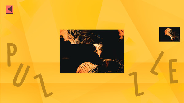 Game Of Puzzles: Animals game for Linux 1