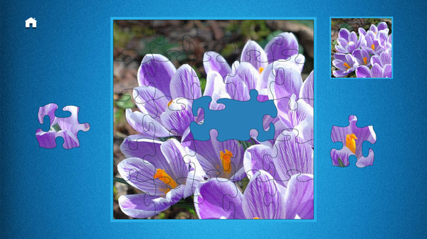 PUZZLE: ULTIMATEfor windows and Linux 1