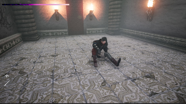 Hippocampus for linux