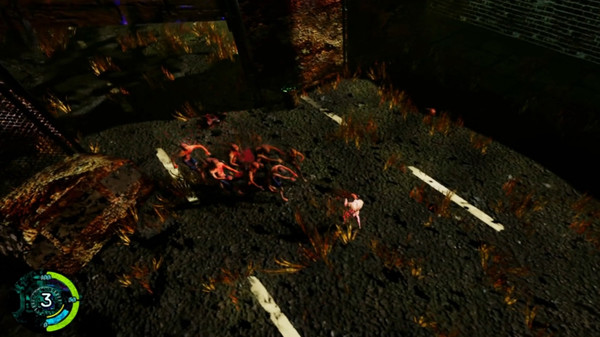 Kaosfor windows and Linux 1