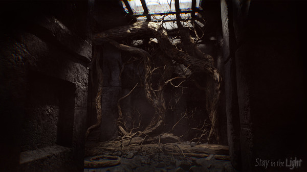 Stay in the Lightfor windows and Linux 1