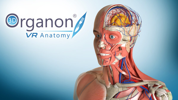 3D Organon VR Anatomy | Enterprise Edition game for Linux 1