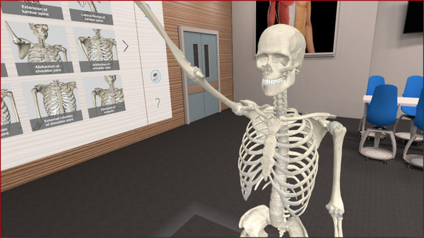 Скриншот из 3D Organon VR Anatomy | Enterprise Edition