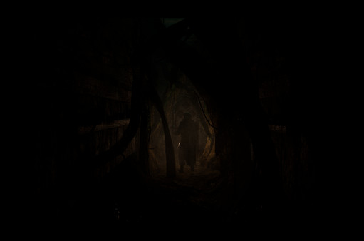 скриншот The Dark Veil: West Haven 2