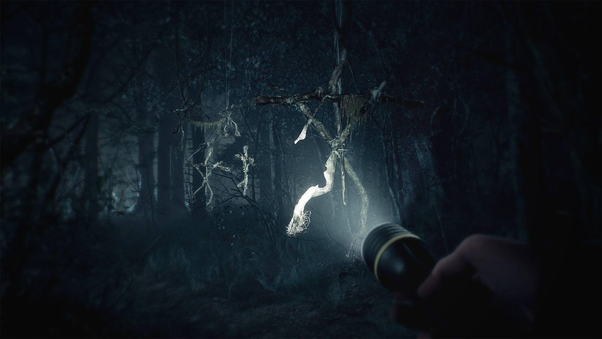 Oculus Quest 游戏《Blair Witch: Oculus Quest Edition》布莱尔女巫