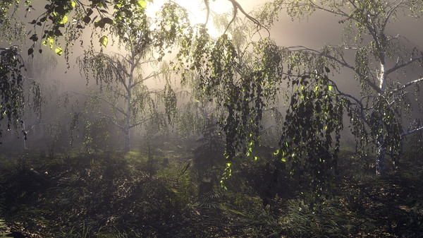 Скриншот из Conscious Existence - A Journey Within