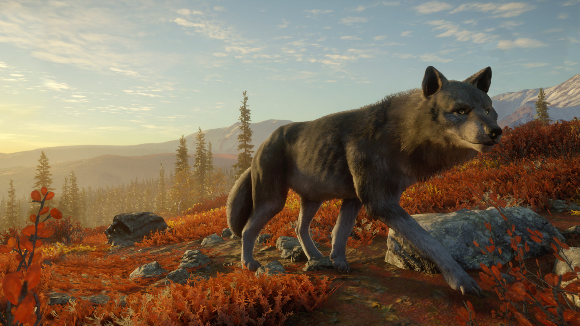 Thehunter Call Of The Wild Yukon Valley On Steam