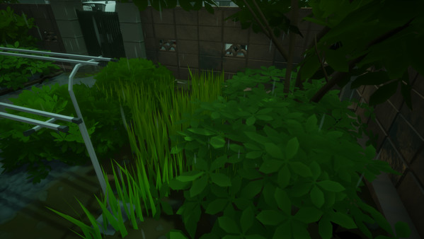 梅雨の日/Rainy Season for linux