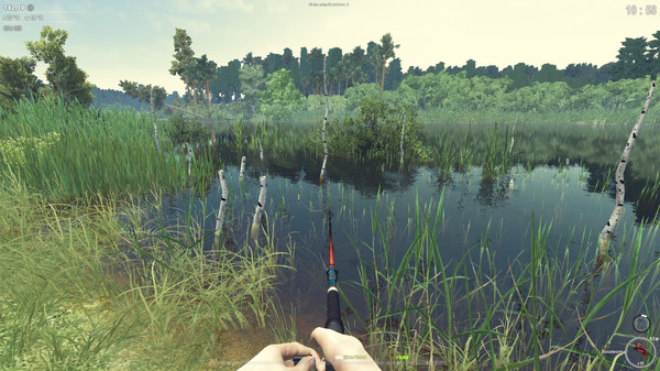 theFisher Onlinefor windows and Linux 1