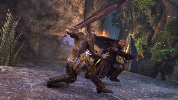 Neverwinterfor windows and Linux 1