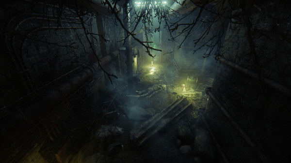 ColdSide game for Linux 1