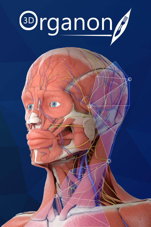 Steam portrait for 3D Organon.