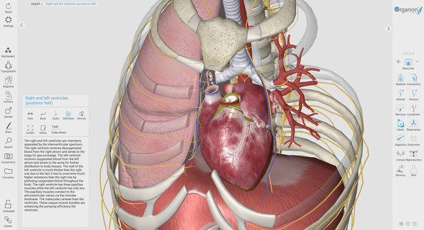 3D Organon Anatomy | Enterprise Edition game for windows Pc 1
