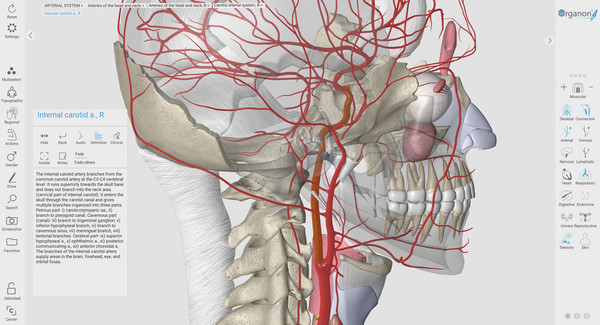 3D Organon Anatomy | Enterprise Edition game for Linux 1