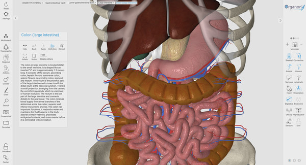 3D Organon Anatomy | Enterprise Editionfor windows and Linux 1