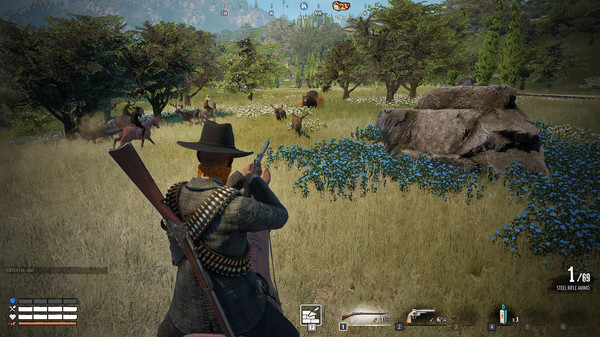 New Frontier game for Linux 1