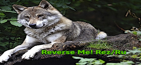 Reverse Me! Rez/Ru cover art