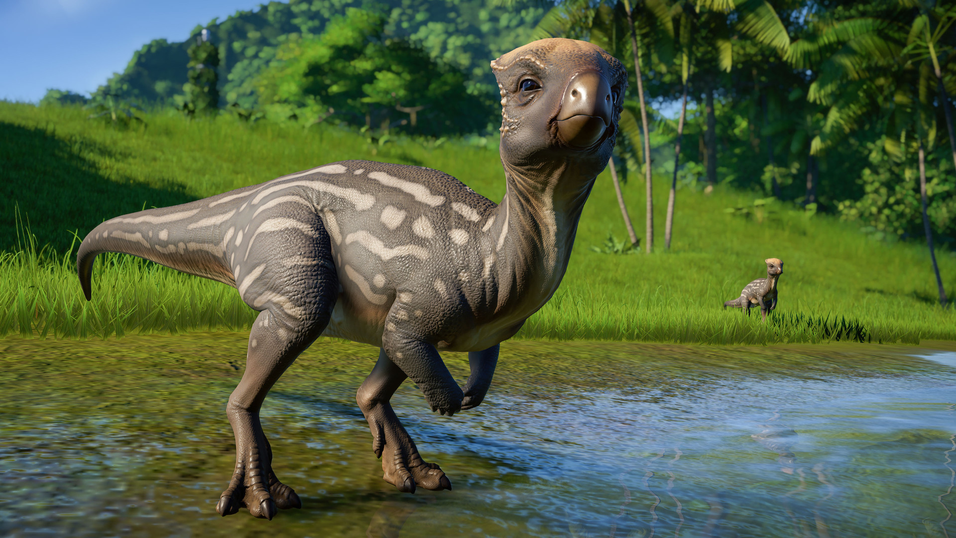 Wild Dinosaur Simulator: Jurassic Age instal the new version for ipod