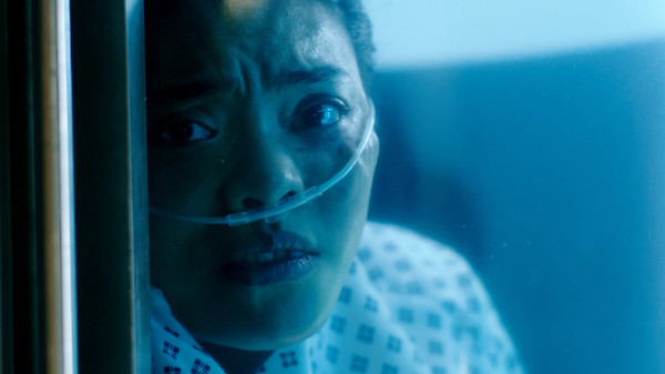 The Complexfor windows and Linux 1