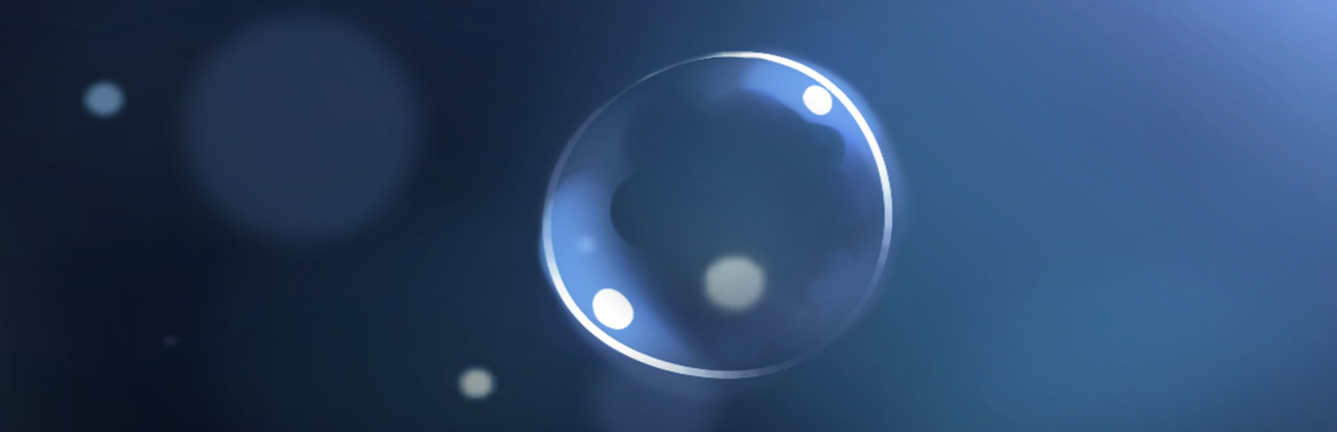 Kiku Wallpaper Launcher