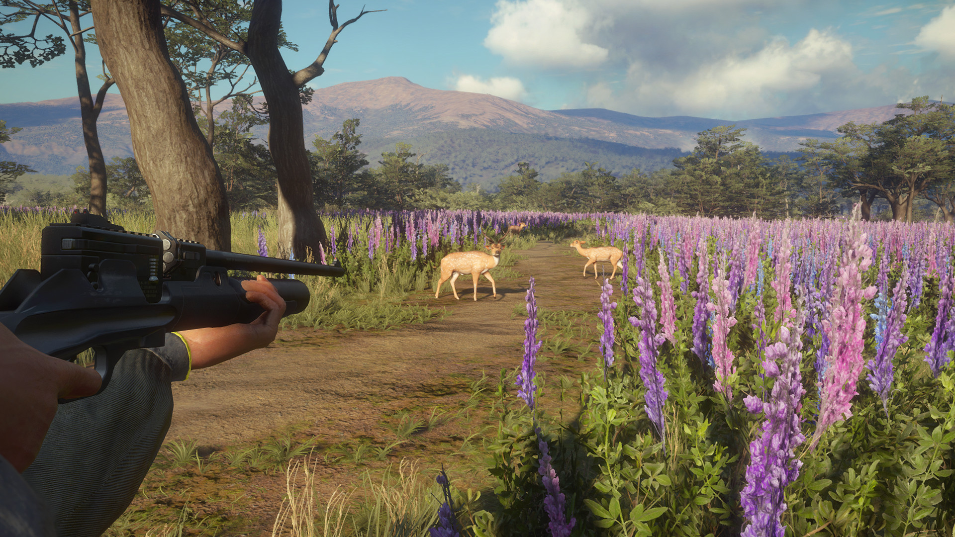 the hunter call of the wild guns the hunter call of the wild guns