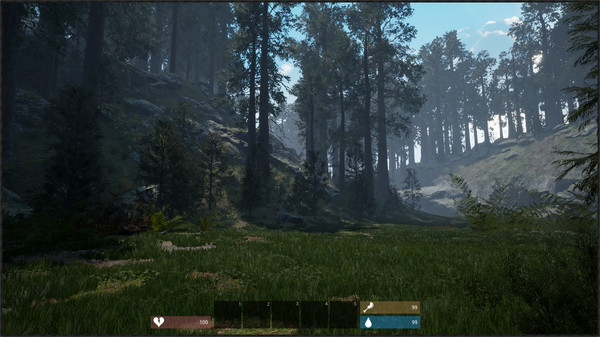 Einn game for Linux 1
