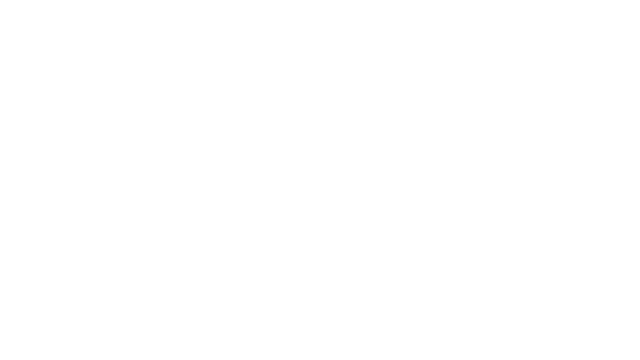 Little Brother Jim Logo