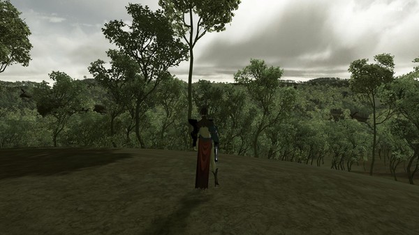 Скриншот из Forest Mage