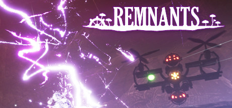 Remnants cover art