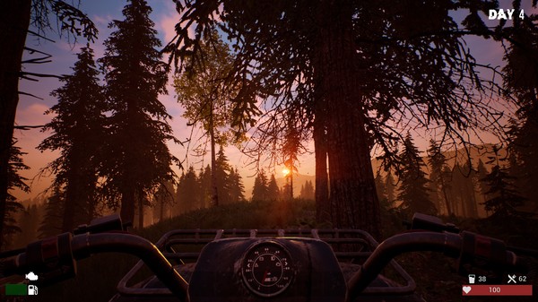 The Lostfor windows and Linux 1