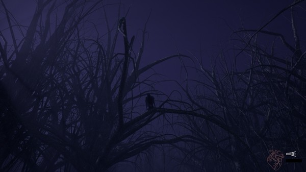 CENTRALIAfor windows and Linux 1