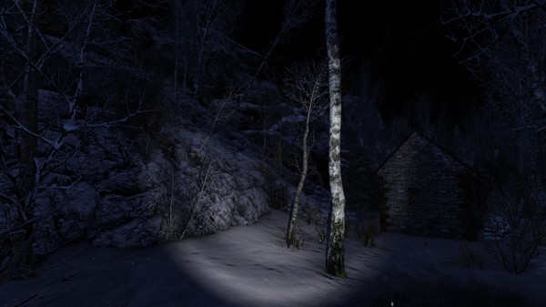 The Forgottenfor windows and Linux 1